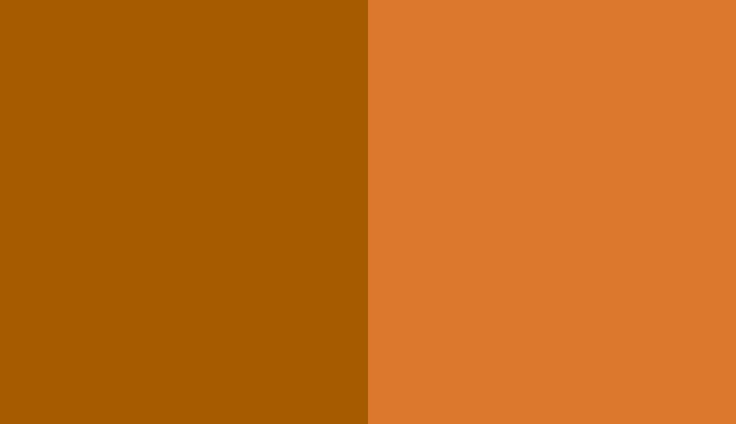 HEX #A65B00 to RAL 2000