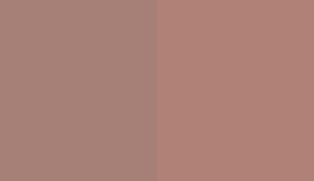 HEX #A67F76 to RAL 040 60 20 HEX #A67F76 to RAL 040 60 20