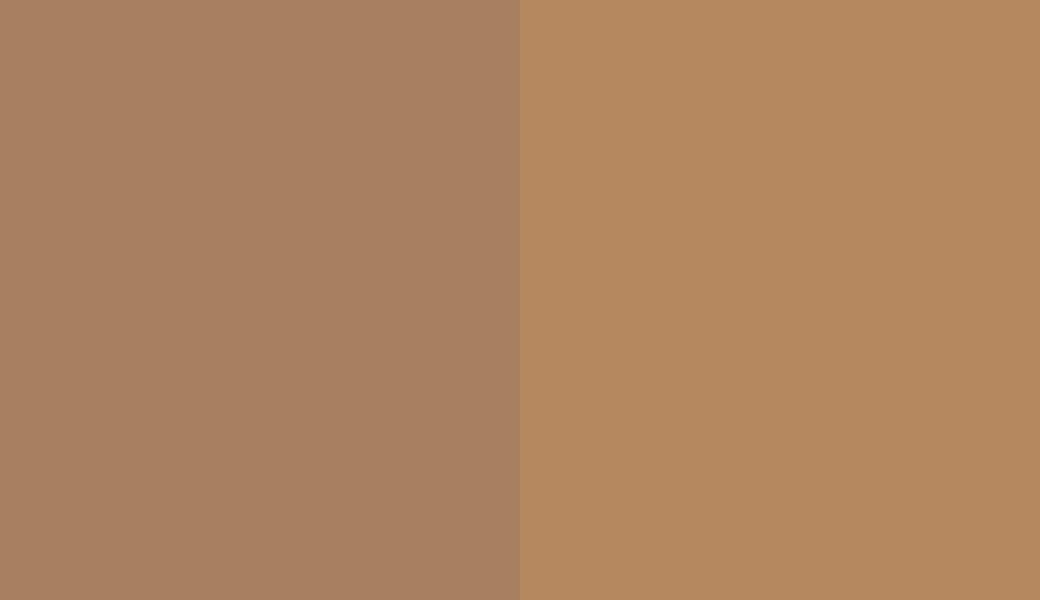 HEX #A68060 to RAL 1011