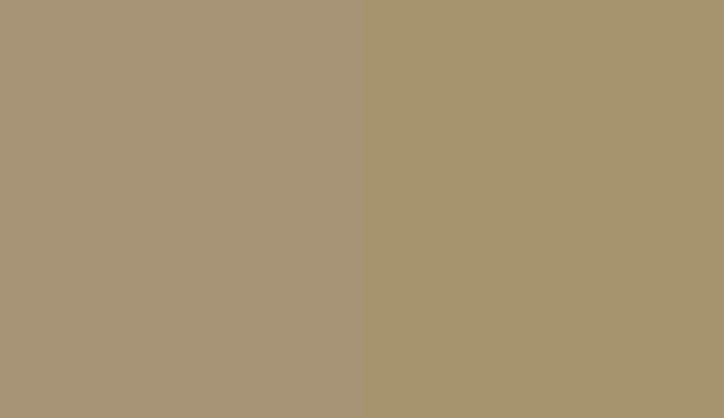 HEX #A79476 to RAL 1020 HEX #A79476 to RAL 1020