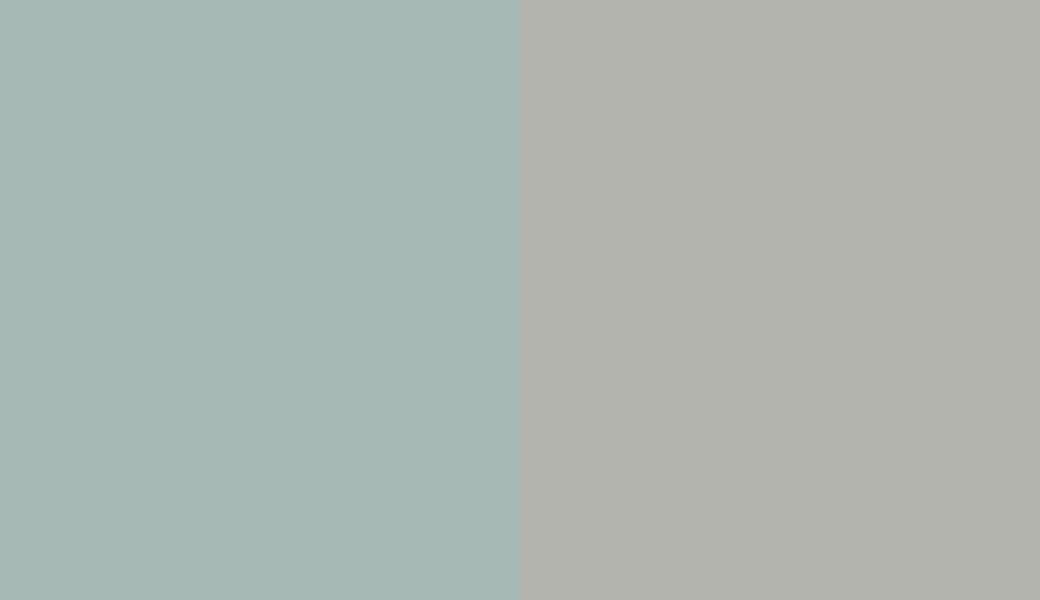 HEX #A7B9B4 to RAL 7038 HEX #A7B9B4 to RAL 7038