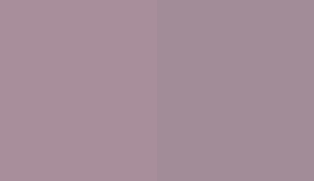 HEX #A88D9A to RAL 4009