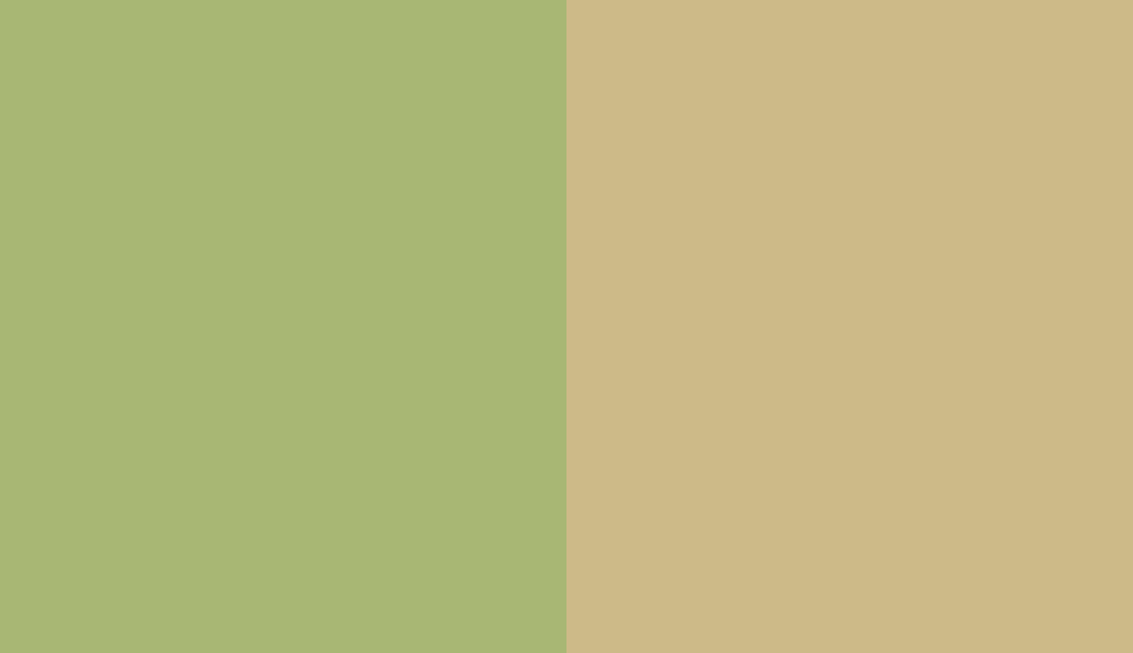 HEX #A8B774 to RAL 1000