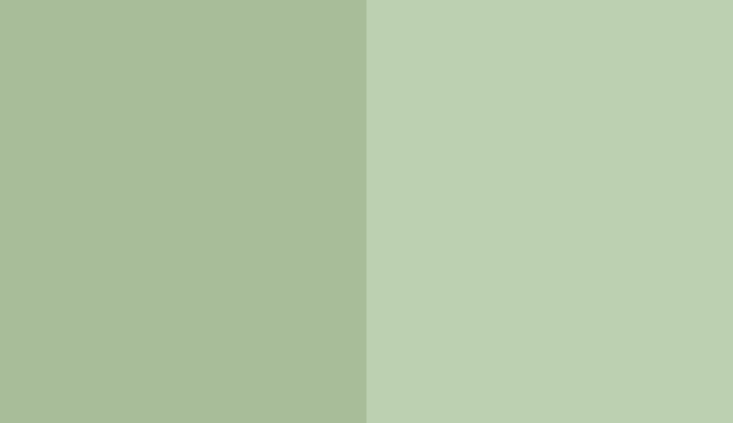 HEX #A8BD99 to RAL 6019 HEX #A8BD99 to RAL 6019