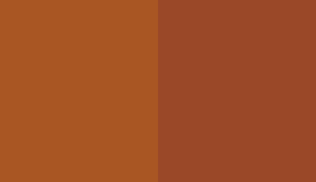 HEX #A95623 to RAL 2013