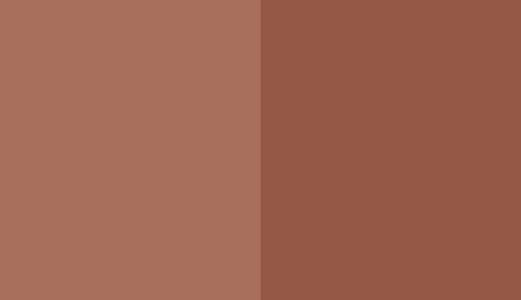 HEX #A96F5D to RAL 8004
