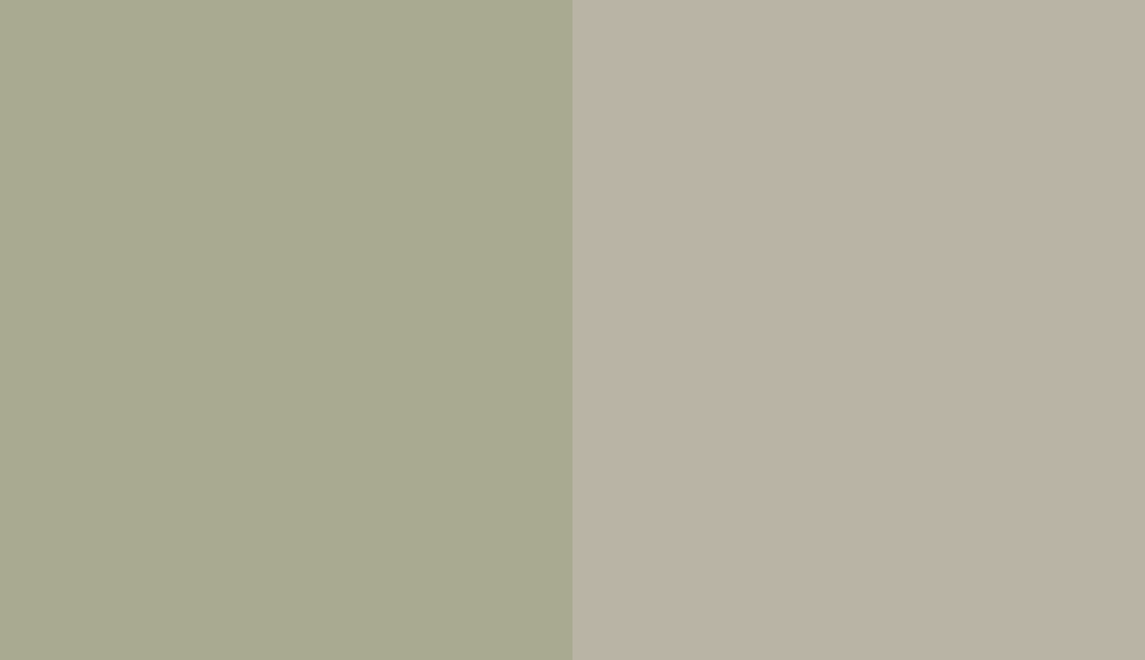 HEX #A9AA91 to RAL 7032 HEX #A9AA91 to RAL 7032