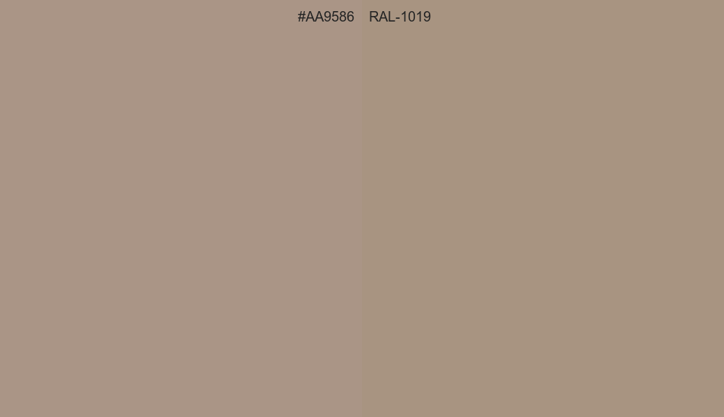 HEX Color AA9586 to RAL 1019 Conversion comparison