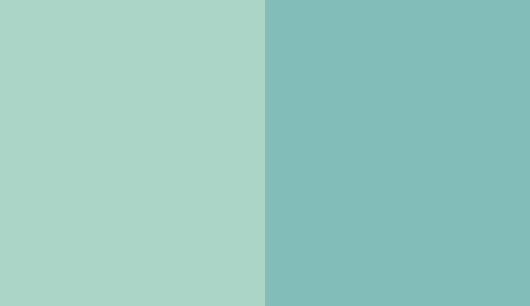 HEX #AAD5C7 to RAL 6027