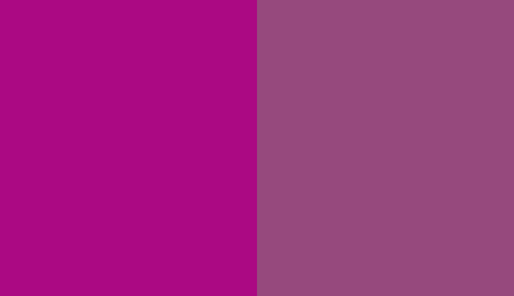 HEX #AB0983 to RAL 4006
