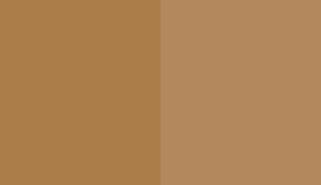 HEX #AB7D49 to RAL 1011 HEX #AB7D49 to RAL 1011