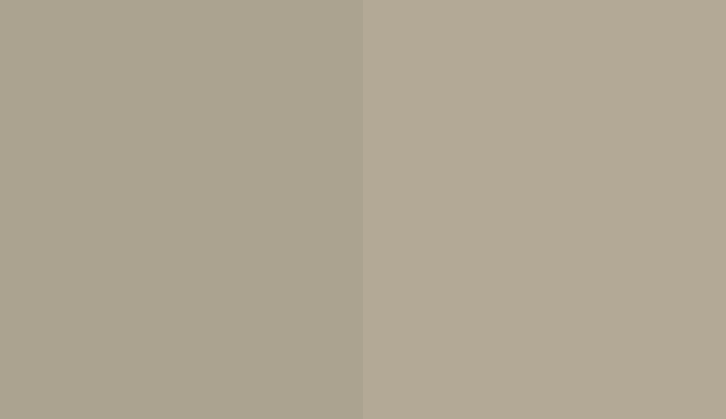 HEX #ABA390 to RAL 085 70 10