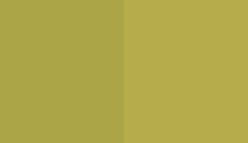 HEX #ABA548 to RAL 100 70 50 HEX #ABA548 to RAL 100 70 50