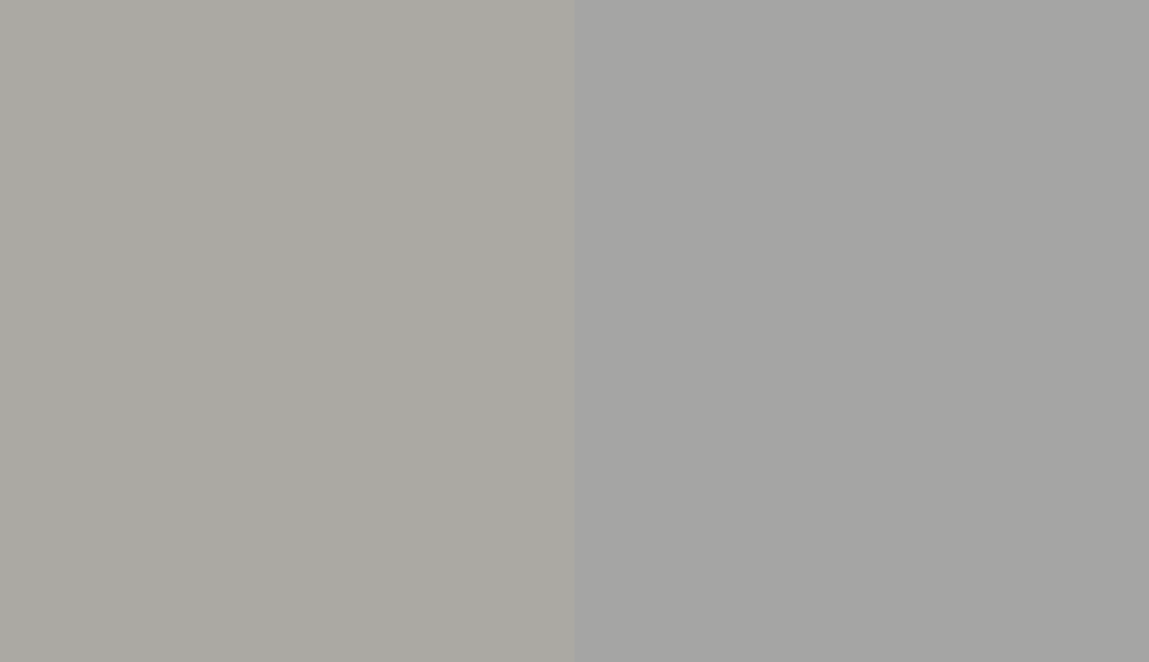 HEX #ABA9A3 to RAL 9006