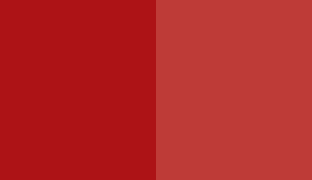 HEX #AD1316 to RAL 3020