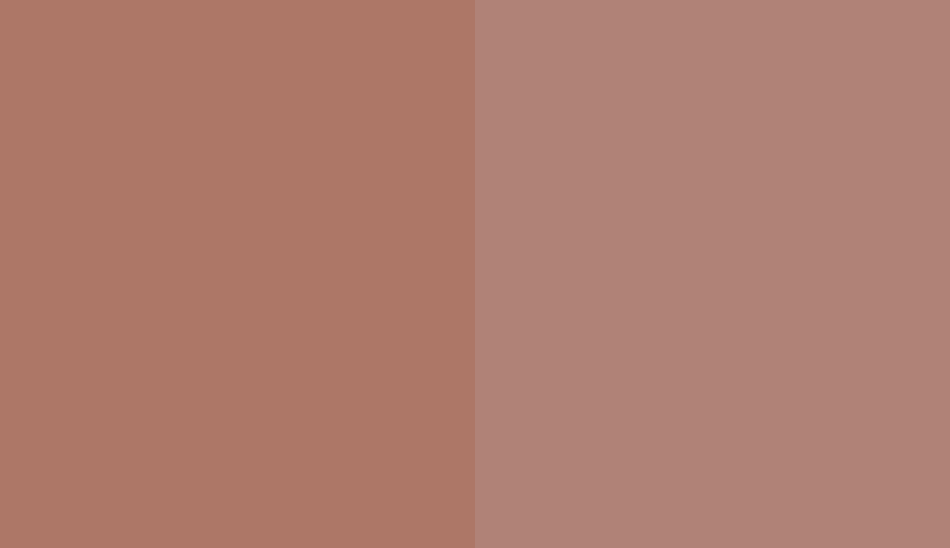 HEX #AD7767 to RAL 040 60 20