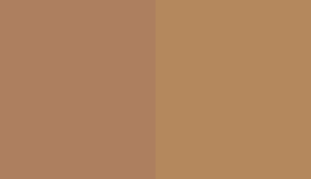HEX #AD7F5F to RAL 1011