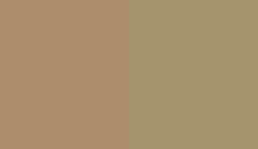 HEX #AD8D6C to RAL 1020 HEX #AD8D6C to RAL 1020