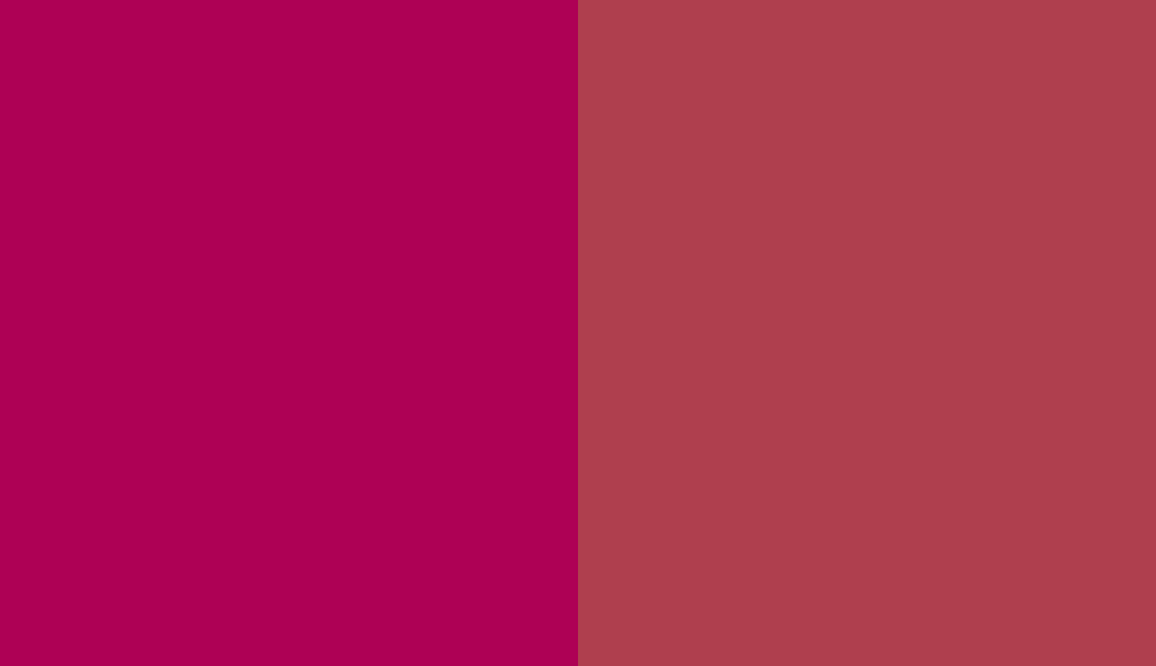 HEX #AE0155 to RAL 3027 HEX #AE0155 to RAL 3027
