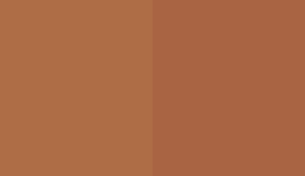 HEX #AE6D46 to RAL 8023