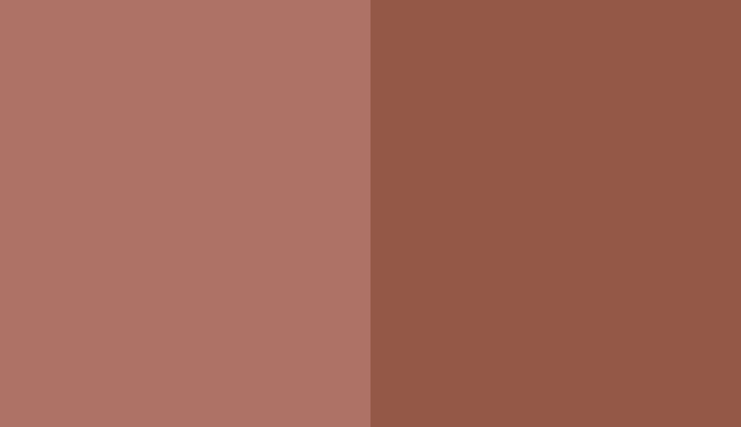 HEX #AE7266 to RAL 8004