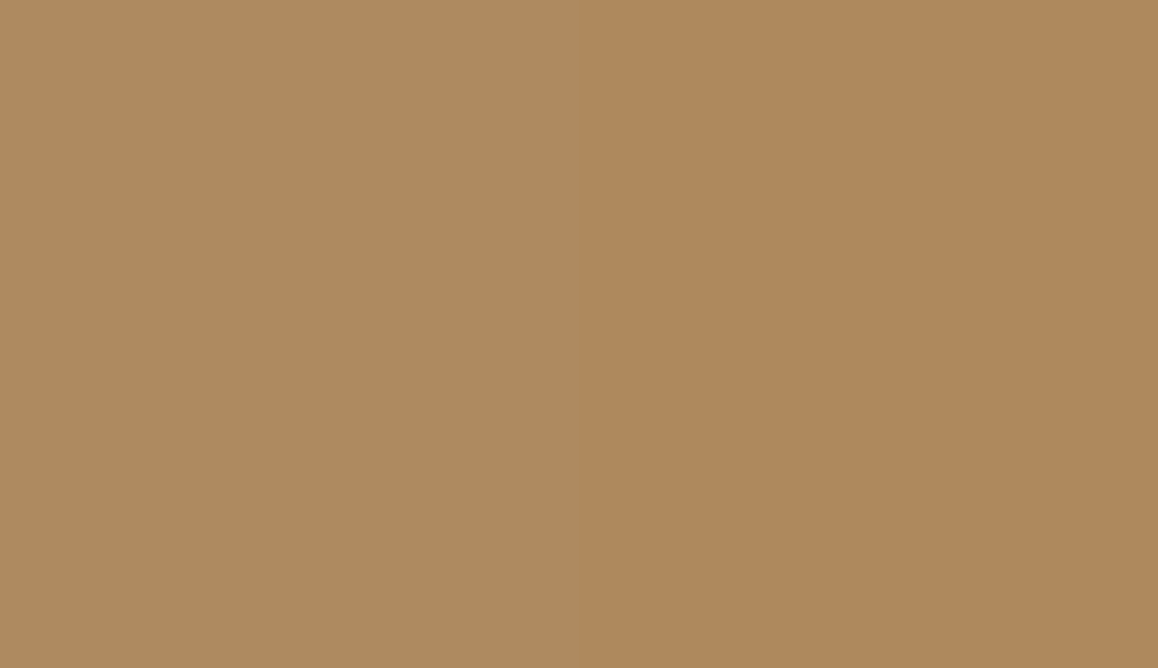 HEX #AE8A60 to RAL 075 60 30
