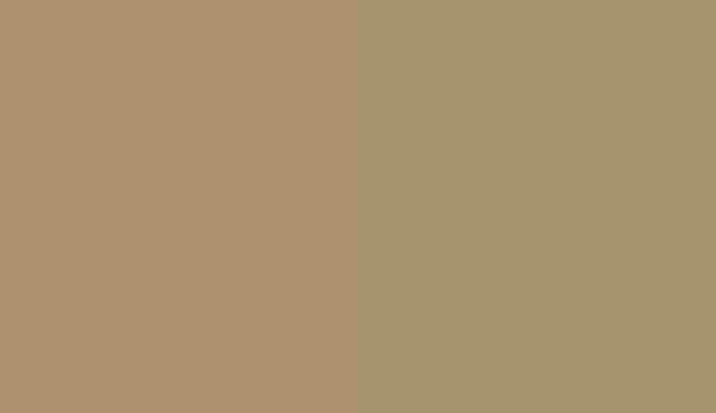 HEX #AE926F to RAL 1020