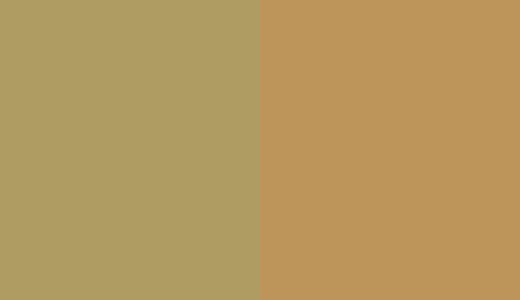 HEX #AE9C62 to RAL 1024 HEX #AE9C62 to RAL 1024