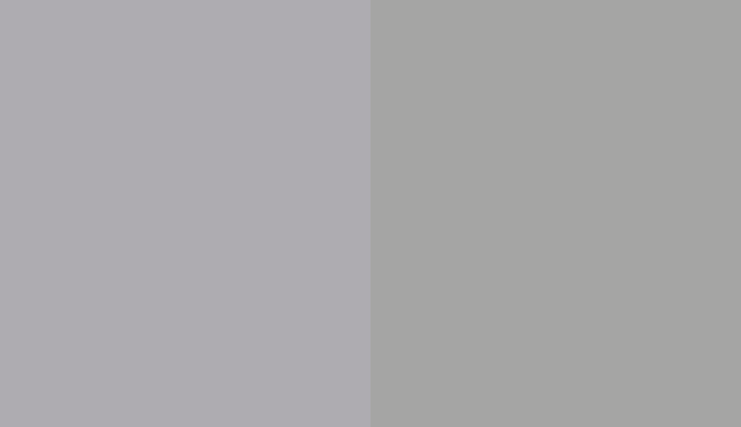 HEX #AEACB1 to RAL 9006 HEX #AEACB1 to RAL 9006