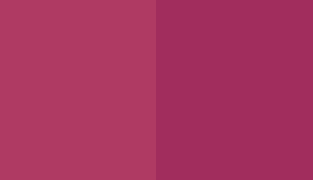 HEX #AF3A63 to RAL 360 40 50 HEX #AF3A63 to RAL 360 40 50