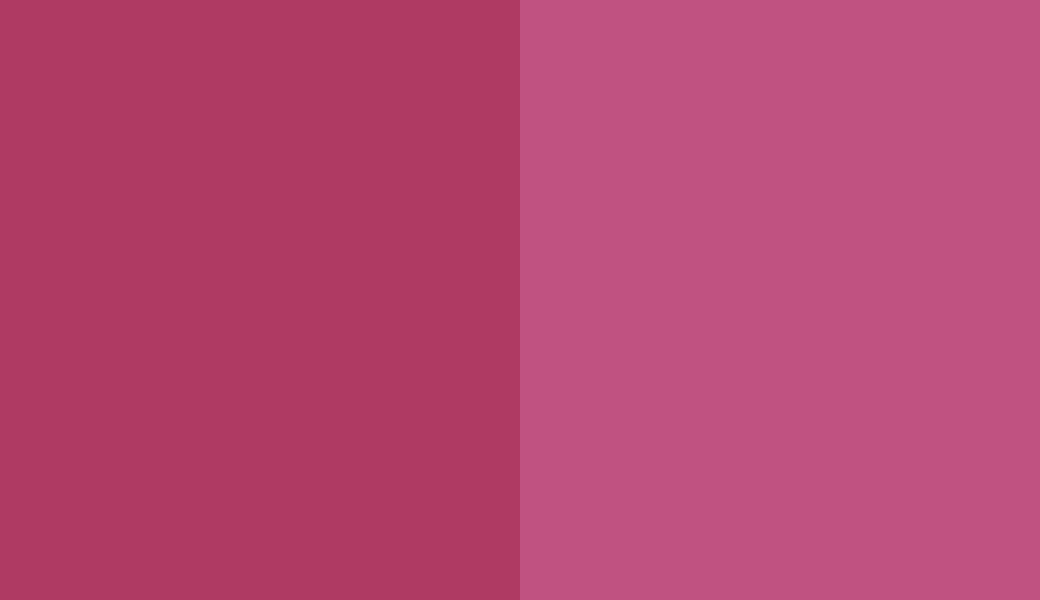HEX #AF3A63 to RAL 4010 HEX #AF3A63 to RAL 4010