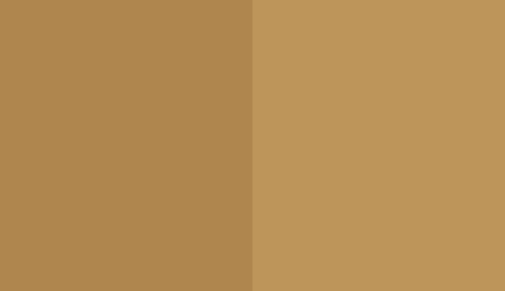 HEX #AF864E to RAL 1024 HEX #AF864E to RAL 1024