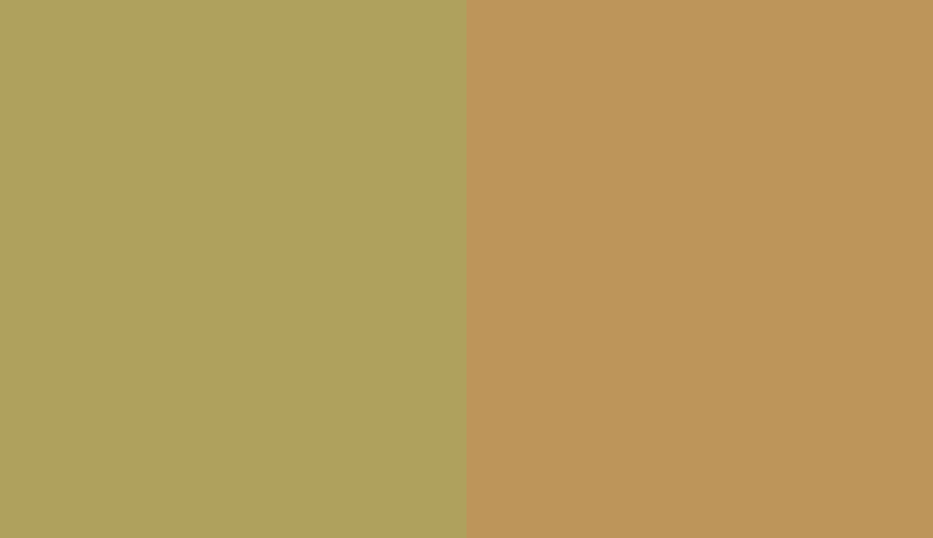 HEX #AFA15D to RAL 1024 HEX #AFA15D to RAL 1024