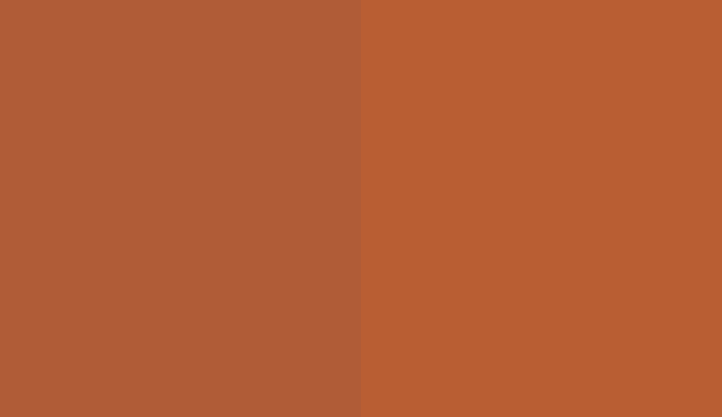 HEX #B05C37 to RAL 050 50 50