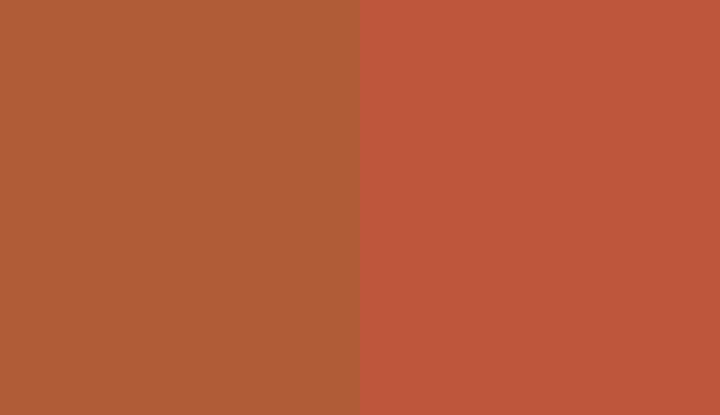 HEX #B05C37 to RAL 2001
