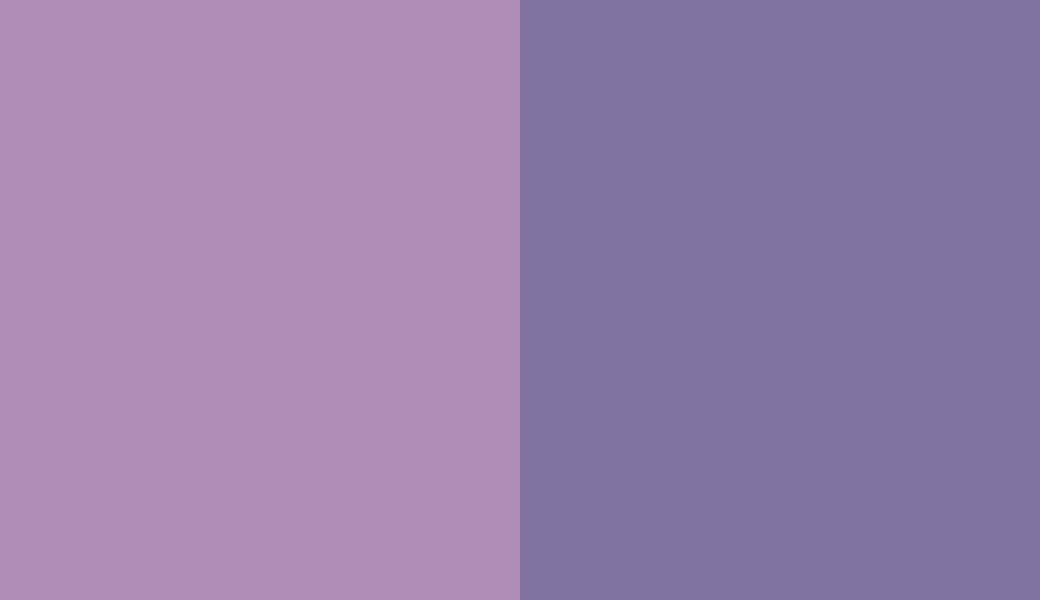 HEX #B08DB7 to RAL 4005