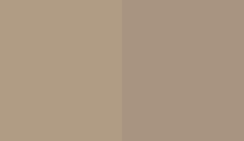 HEX #B09C84 to RAL 1019