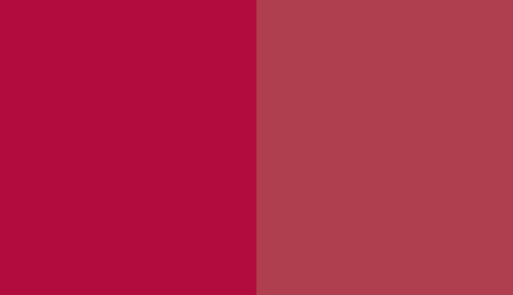 HEX #B10C3D to RAL 3027 HEX #B10C3D to RAL 3027