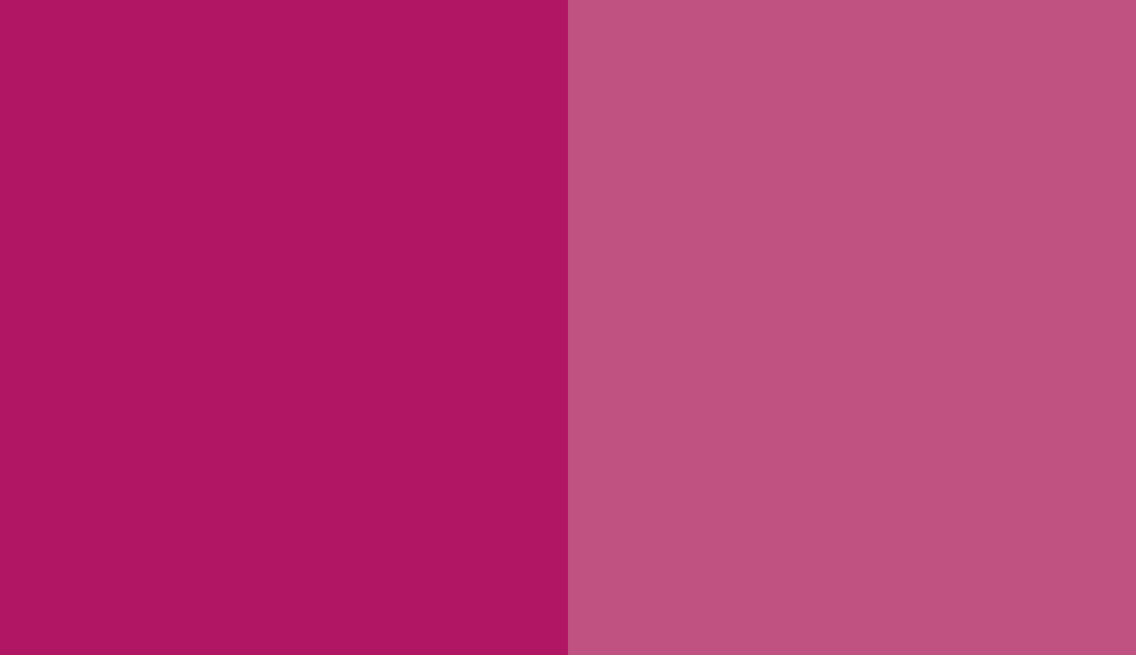 HEX #B11665 to RAL 4010 HEX #B11665 to RAL 4010