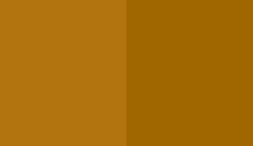 HEX #B1740F to RAL 075 50 58 HEX #B1740F to RAL 075 50 58