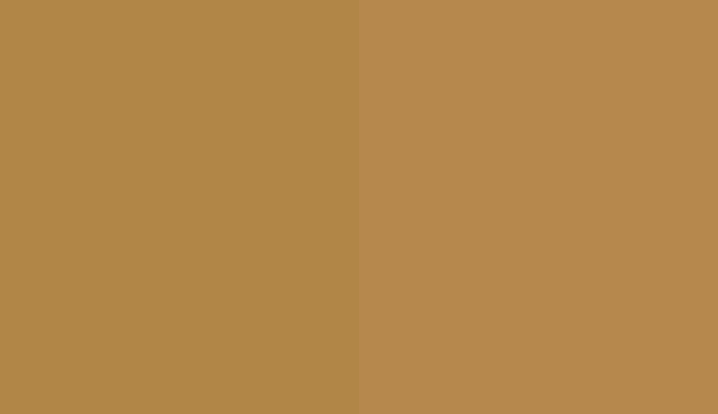 HEX #B18647 to RAL 075 60 40 HEX #B18647 to RAL 075 60 40