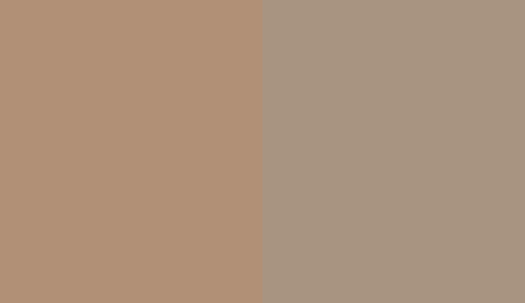 HEX #B19076 to RAL 1019 HEX #B19076 to RAL 1019