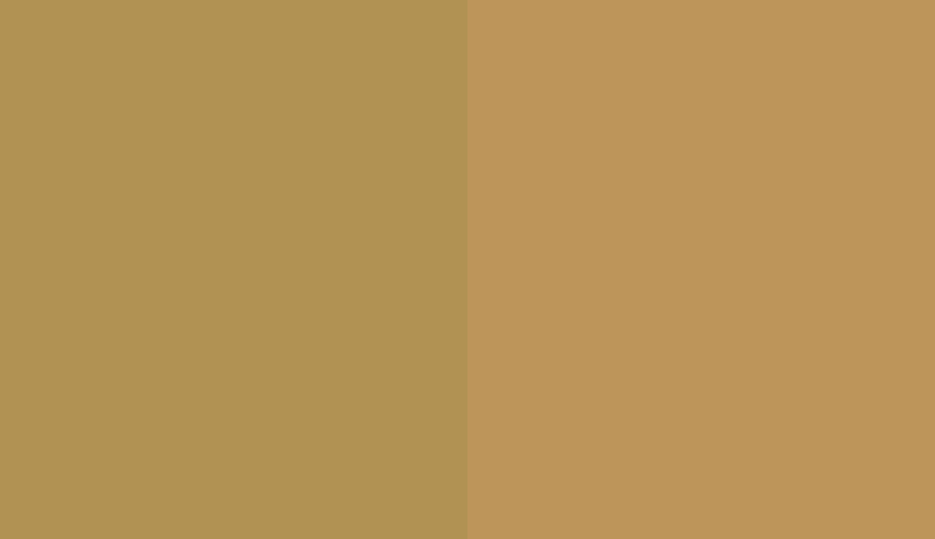 HEX #B19253 to RAL 1024