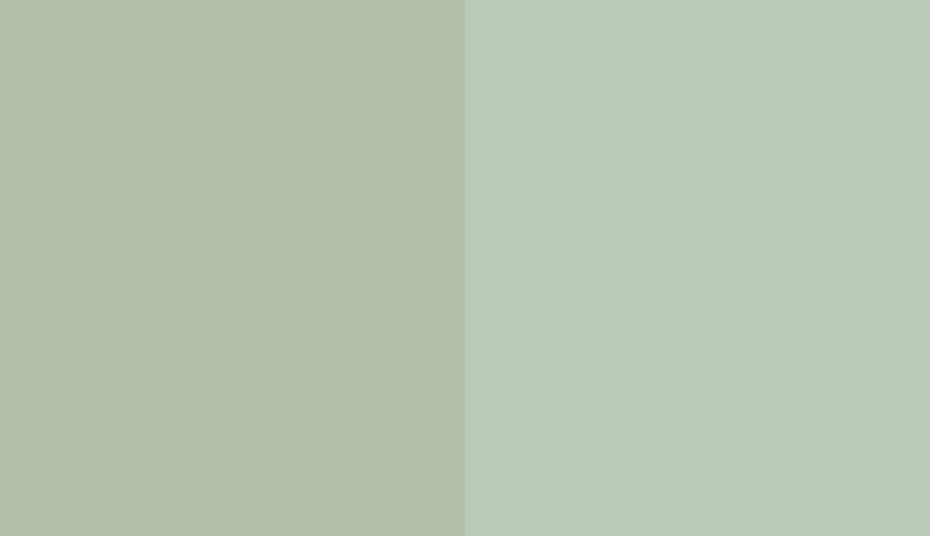 HEX #B1BFAB to RAL 140 80 10