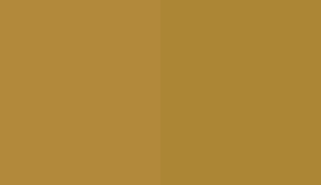HEX #B2893B to RAL 1027 HEX #B2893B to RAL 1027