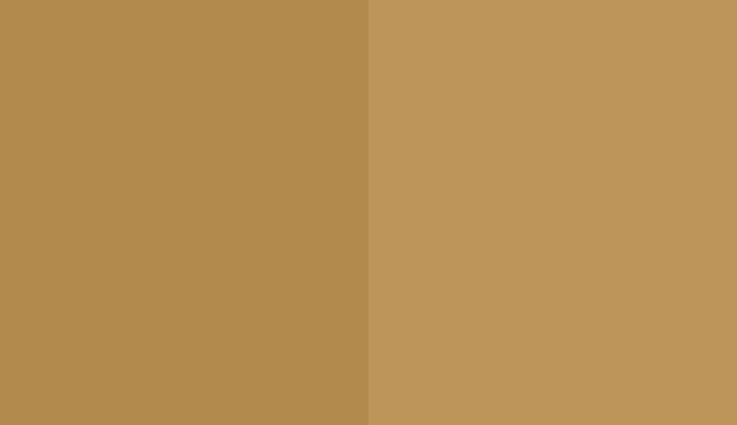 HEX #B28A4D to RAL 1024