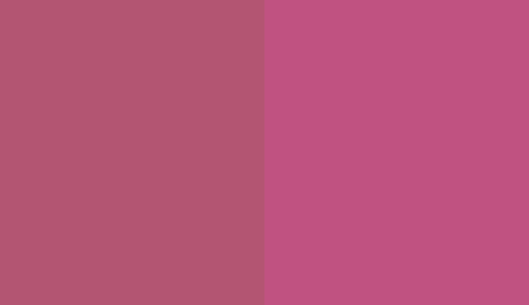 HEX #B35572 to RAL 4010 HEX #B35572 to RAL 4010