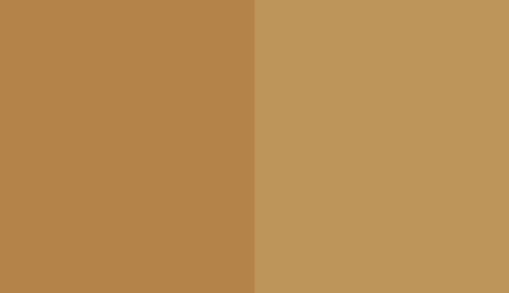 HEX #B3834A to RAL 1024 HEX #B3834A to RAL 1024
