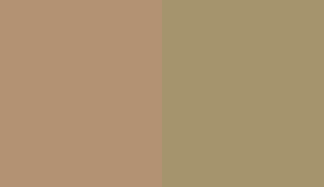 HEX #B39273 to RAL 1020 HEX #B39273 to RAL 1020