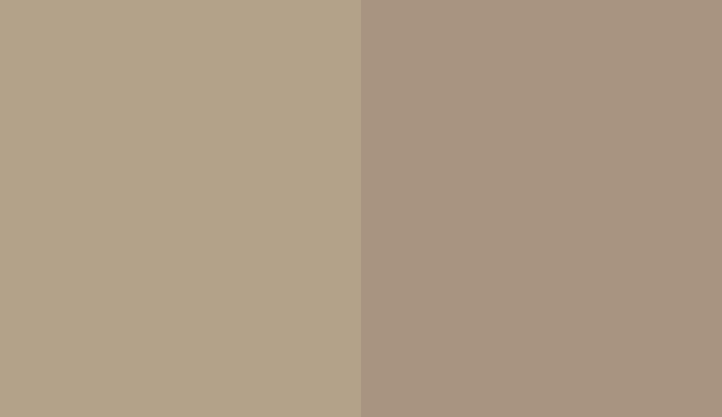 HEX #B3A289 to RAL 1019 HEX #B3A289 to RAL 1019